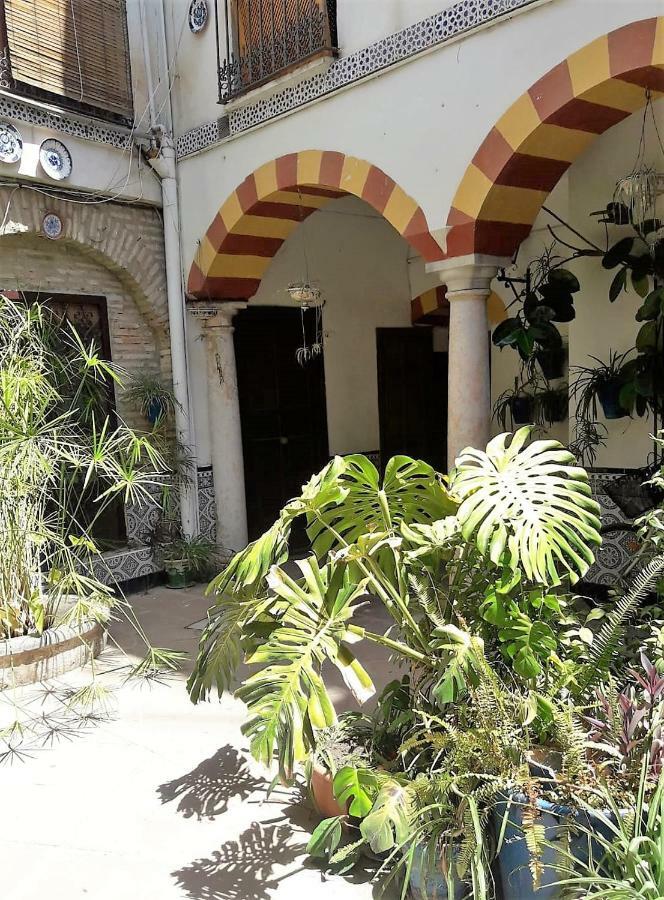Ap Abderraman I Appartement *